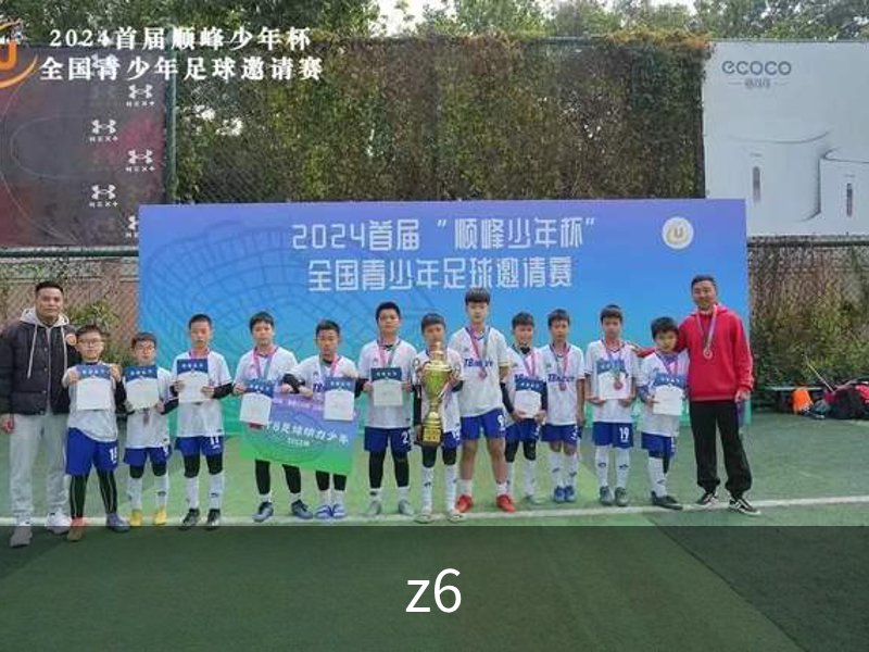 关于z6